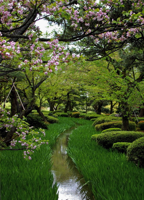 Outstanding Nature Wallpaper – Free Download HD Wallpapers